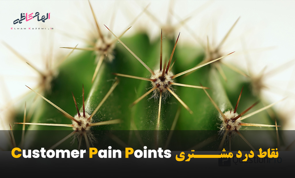 نقطه درد مشتری چیست؟